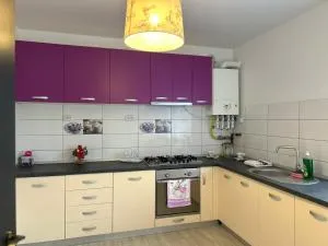 studio G&A 2 - Teliucu Inferior