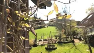 Lindenallee 4a - Erholung und Wellness - Westfehmarn