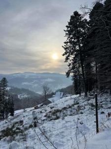 B&B / Chambres d'hotes FERME IM-BERG : photos des chambres