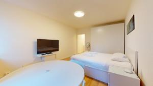 Modern studio in the heart of Geneva