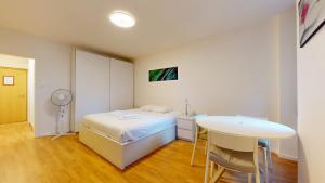 Modern studio in the heart of Geneva