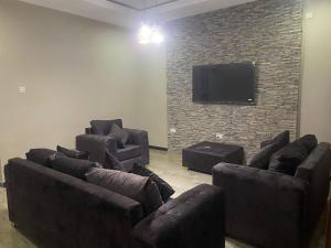 Steady State Apartment 3