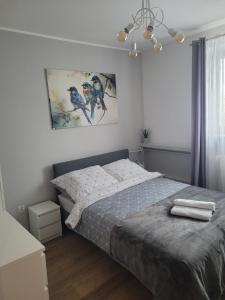 Apartament pod szczęśliwą 13