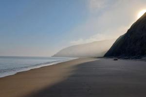 Gelly Dylan Thomas Paradise