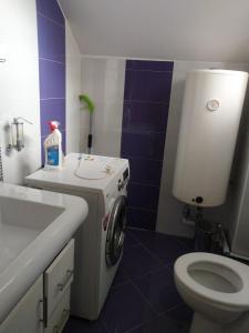 Apartman Coneli