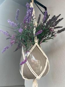 Camelia 5- Beautiful 1+1 on Cleopatra