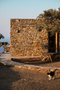 Avdos olive house - land tales