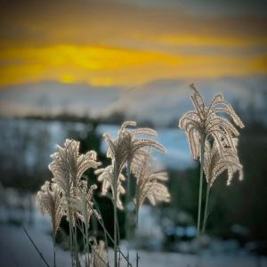 Chalupa Na konci Pekla