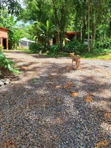 Minicasa Rural Maria Preta