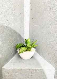 Seasons Four Eco Friendly Cabana MATARA