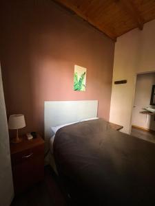 LA SELVA MONOAMBIENTES