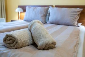 Studio Villa Park 325