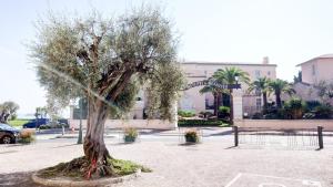 Appartements L'apparte Marinoni Classe-Climatise-WIFI-Mer : photos des chambres