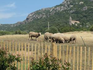 Sejours a la campagne Clos Simoni : photos des chambres