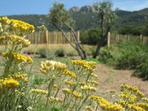 Sejours a la campagne Clos Simoni : photos des chambres