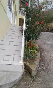 SOLEIL DES CARAÏBES - Pointe-Noire