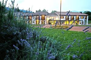 Hotel Canova Sport & Relax