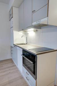 Lapin Loiste 2, Modern Studio Free Parking and Wifi