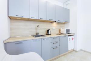 One-Bedroom Apartment room in Nyvky Grey