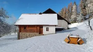 Grunt Sonek - Repnik