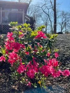 Mountain View #580 - 布赖森城