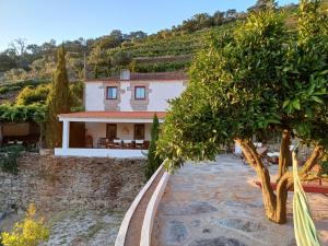 Country house Quinta da Salgueira