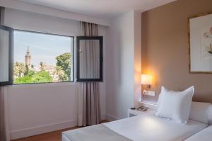 Comfort Double or Twin Room with View room in Hotel Alcázar