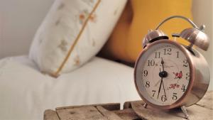 Blois City - Le Petit Louis XII