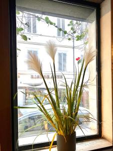 Romantic Wellness Apartment COLOSSEO