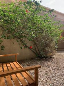 Appartements Residence Motel Corsicana : photos des chambres