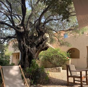 Appartements Residence Motel Corsicana : photos des chambres