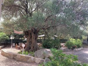 Appartements Residence Motel Corsicana : photos des chambres