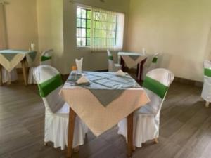 Jungle Green Resort, Kiutine