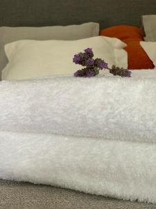 Las Tipas mini loft Cafayate