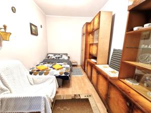 Apartament Zdrój