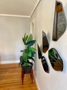 Exuberante refúgio no centro de Lisboa