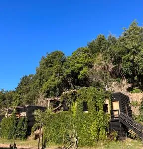 Reserva los Bollenes - Constitución