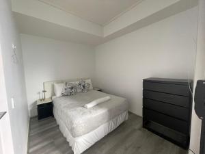 Entire 2 bedrooms Security Apartment