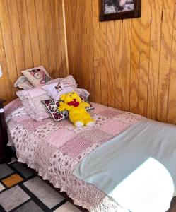 Cabañas Emma Maicolpue