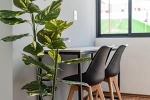 Narvarte Apartments by VH