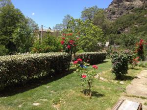 Sejours a la campagne E Pezzole : photos des chambres