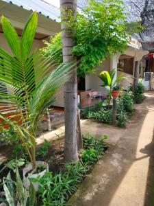 Phòng Tiêu Chuẩn Giường Đôi (Standard Double Room)