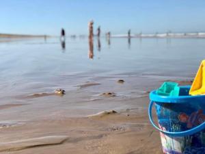 Maison tout confort proche plage avec véranda et parking privatif - FR-1-231-240