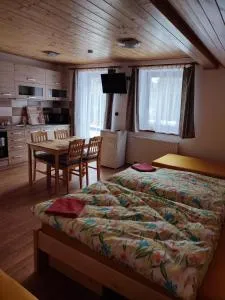 Ubytování Niki - Hranice