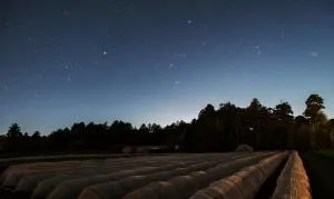 THE FARM Resort Japan - Itako