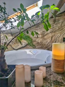 Еко Комплекс Албиция