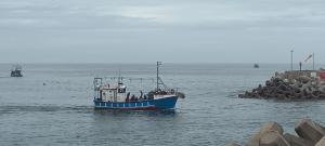 Port Main Royal Oceans Edge