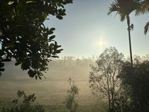 Lotus Jewel Forest Camping