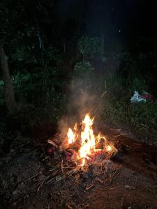 Lotus Jewel Forest Camping