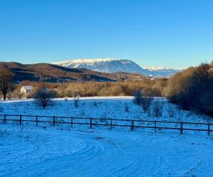 Cabana Ursu’ Zburator